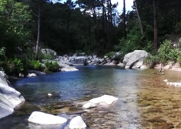 公寓 Casapiana 7 San-Gavino-di-Carbini